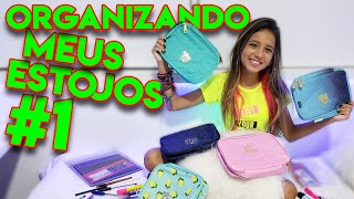 ORGANIZANDO MEU ESTOJO para VOLTA AS AULAS  parte 1 [upl. by Hanley]