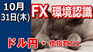 【TAKA FX】ドル円他各通貨の環境認識解説。各種指数、GOLDなど 10月31日木 [upl. by Nadnerb823]