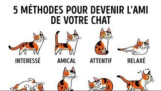 COMMENT MIEUX COMPRENDRE LE LANGAGE DES CHATS [upl. by Burne707]