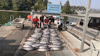 Insane Winter Harbour Albacore Tuna Vancouver Is BC [upl. by Aihsikal]