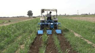 Inter Row Rotary Cultivator [upl. by Annoyik]