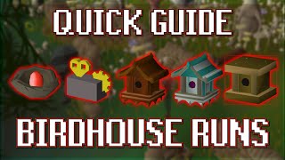 Quick Guide to Birdhouse Runs in OSRS [upl. by Inafetse626]