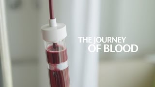 The journey of blood [upl. by East]