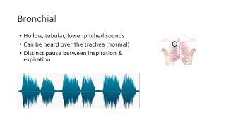 Essential Lung Sounds [upl. by Nottus674]