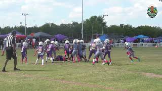 Mesquite Panters Vs Texas TarHeels 8U [upl. by Piggy]