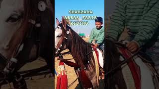 Horse Riding I Riding on Horse I Nezabazi Mela I End Of Time horseworld youtube youtubeshorts [upl. by Ahsienor]