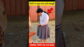 ଝିଅଟି ତା ଡ୍ରେସ କଣ ପାଇଁ ଖୋଲୁଛି story gapa ytshort shorts factsviralvideo amazingfacts natia [upl. by Matteo590]