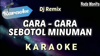 Karaoke Gara Gara Sebotol Minuman Nada Wanita  Versi DJ REMIX [upl. by Shargel]