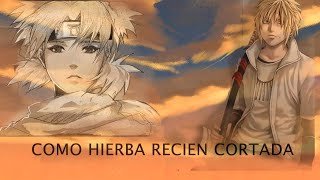 Capítulo 712  QHPS Naruto se casaba con Temari [upl. by Hsirrap]