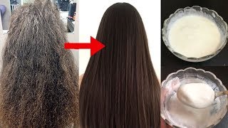 How To Treat Extremely Dry amp Damaged Hair at Home  Best Treatment For Frizzy Hair amp Split Ends [upl. by Etnahs]