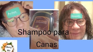 Shampoo para las canas Funciona o no [upl. by Doreen215]