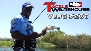 Froggin at the Cal Delta with Jared Lintner amp Ish Monroe  Part 3  Tackle Warehouse VLOG 208 [upl. by Eissej]