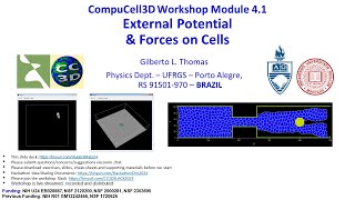 CC3D WS 41 Forces on Cells in CC3D Gilberto Thomas August 1 2024 [upl. by Ansilma413]