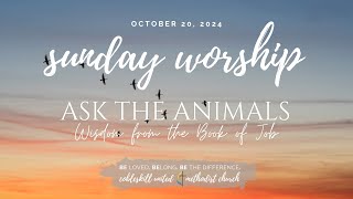 Live Worship Sunday October 20th 2024 [upl. by Eanil]