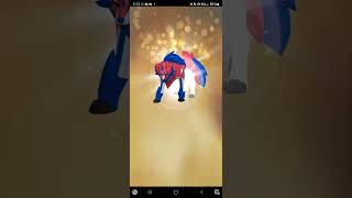 🍀 Lucky Zamazenta Trade Pokemon Go pokemon pokemongo pokémongo [upl. by Mosnar]