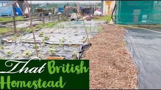 February Allotment tour 2022 Winter gardening [upl. by Siramad]