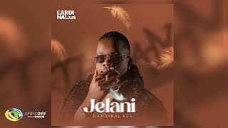 Cardinal X25  Jelani Feat EugeCube Lindie Bata Csiie and Sanelee Official Audio [upl. by Orms]