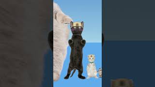 we did it 5Ping Pong Ball Trick Shotstrickshotsping pong ball songhealing funny cat animation [upl. by Wilkie]