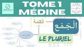 1217 Le pluriel Tome 1 de Médine  Ce que tu dois retenir apprendre arabe [upl. by Mlawsky]