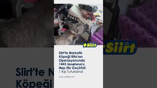 Siirt’te Narkotik Köpeği Ritanın Operasyonunda 1443 Uyuşturucu Hap Ele Geçirildi 1 Kişi Tutuklandı [upl. by Ellette916]