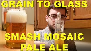 How to Brew a Mosiac IPA  Grain to Glass  Single Hop [upl. by Eilyab]