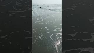 সাগরের পানি🌊shortvideo coxsbazar like [upl. by Schafer]