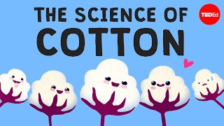 Why is cotton in everything  Michael R Stiff [upl. by Garap]