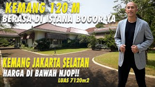 Berasa di istana Bogor Luas 7120 m2  Harga dibawah NJOP  Kemang Jaksel [upl. by Taryne]