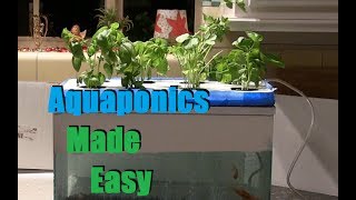 Cheap and Easy 35 Aquaponics  Hydroponics Setup [upl. by Popper]