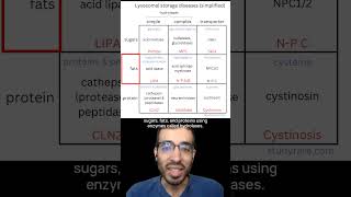 Learn about lysosomal storage diseases with this 3x3 grid [upl. by Oderfla]