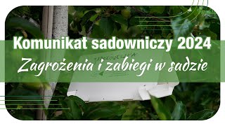 ​Komunikat sadowniczy 4062024 r  Zagrożenia i zabiegi w sadzie Szkodniki [upl. by Enitsrik]