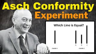 Asch Conformity Experiment Explained  Line Conformity Study  Solomon Asch [upl. by Pampuch]