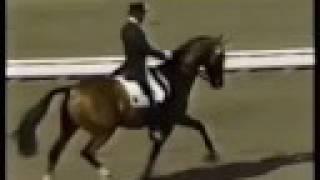 Klimke and Ahlerich  1984 Olympics Dressage [upl. by Niamreg]