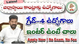 TG District Contract Jobs 2024 Telangana Contract Basis Jobs 2024 tg district wise contract jobs [upl. by Absa]