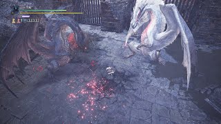 white fatalis vs fatalisfather vs son mhw full fight [upl. by Atiran]