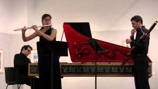 Bach sonata E minor flute and continuo BWV 1034 [upl. by Sucramraj]