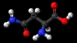 Asparagine  Asparagus Liver Function Cells Nerves Brain Diuretic Ammonia Proteins [upl. by Giulio]