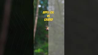 iPhone Apple ProRes Log vs Graded shorts applelog iphonevideo colorgrading [upl. by Anwad]