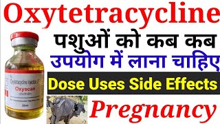 Oxytetracycline antibiotic injection uses in goatबकरियों में ऑक्सी टेट्रासाइक्लिन इंजेक्शन का उपयोग [upl. by Dimo]