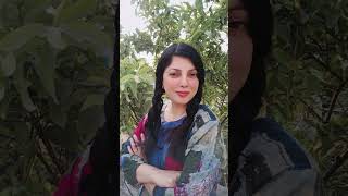 Da Nazar keemat Gul Panra pashto song viralshort viralvideos youtubeshorts pashtosong [upl. by Nahsor849]