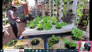 Sustainable farming based Hydroponics Farming [upl. by Nellda]