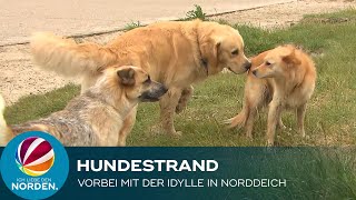 Hundestrand in Norddeich vor dem Aus – Besitzer verärgert [upl. by Aker]