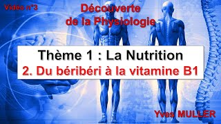 Vidéo 3  Du béribéri à la vitamine B1 [upl. by Bokaj29]