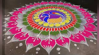 Peacock rangoli design 811 [upl. by Raseda]