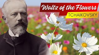 Tchaikovsky Waltz of the Flowers [upl. by Drahnreb]