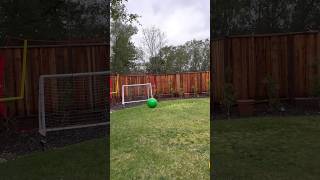 Backyard Soccer dadlife goals [upl. by Asiluy]