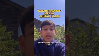 Nyabut Bawang Bombay jepang reels fyp [upl. by Obidiah]