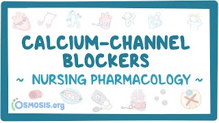 Calciumchannel blockers Nursing Pharmacology [upl. by Eegnat]