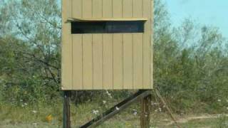 Grande Hunts 8 South Texas Deer Lease Work Feeding amp Scouting October 2010 [upl. by Hillari]