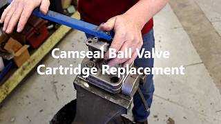 Conval Camseal Cartridge Replacement Video [upl. by Josepha998]